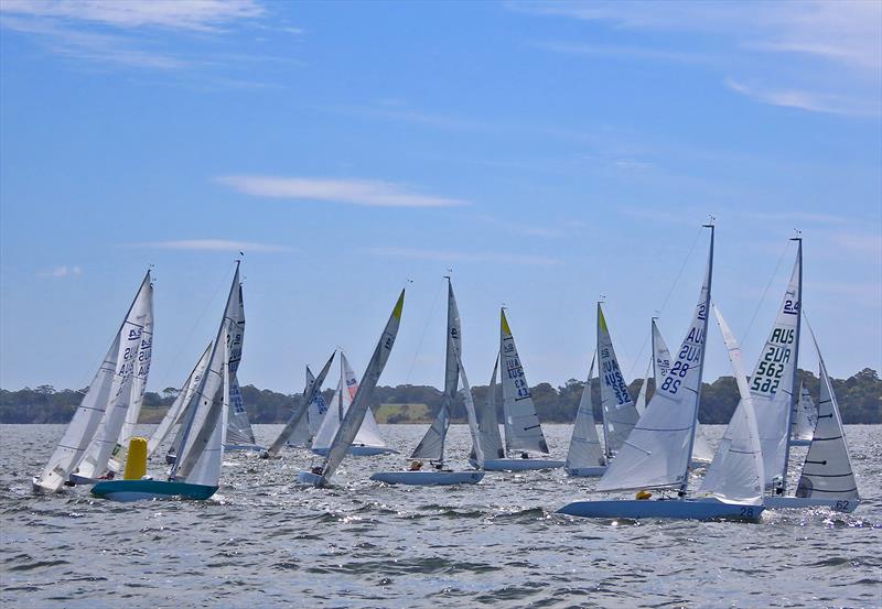 Close racing on Gippsland Lakes on Day One of the 2025 2.4mR Australian Championship - photo © Christie Arras