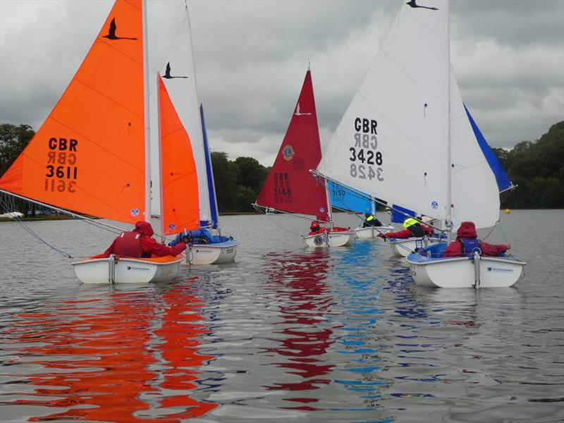 Hansa Class UK Traveller Trophy Series Round 9 at Frensham Pond Sailability - photo © Sean Warnock