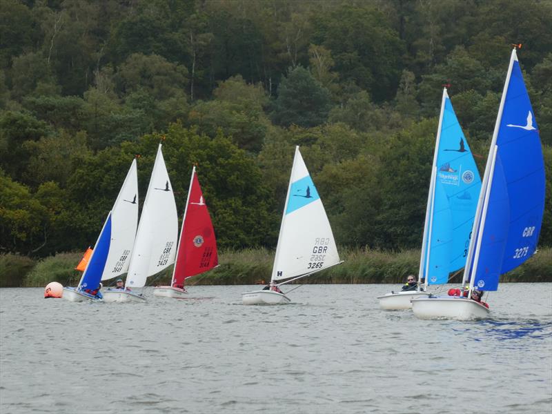 Hansa Class UK Traveller Trophy Series Round 9 at Frensham Pond Sailability photo copyright Sean Warnock taken at Frensham Pond Sailability and featuring the Hansa class