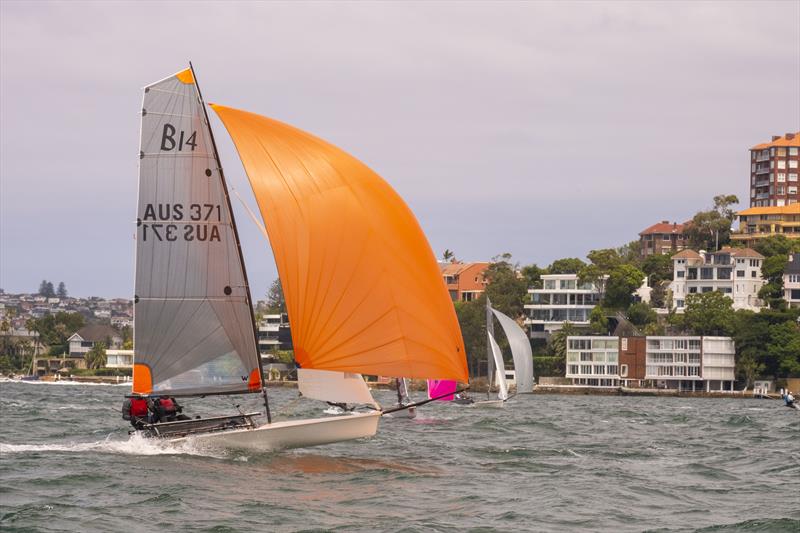 B14 Pre Worlds 2025 at Woollahra Sailing Club, Sydney - photo © Griff Brindley Photography