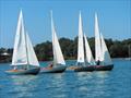 Bembridge classes racing on 2 August © Mike Samuelson