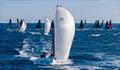 Cape 31 Europeans in Sanremo © International Cape 31 Class / ZGN