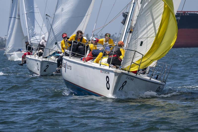 Ullman Sails Long Beach Race Week 2024 - Day 1 - photo © Bronny Daniels