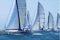 Outremer celebrates its 40th anniversary