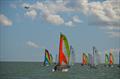 Singlehanded Hobie Wave racecourse action © Hobie Wave Class