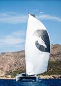 Multihull Cup 2024