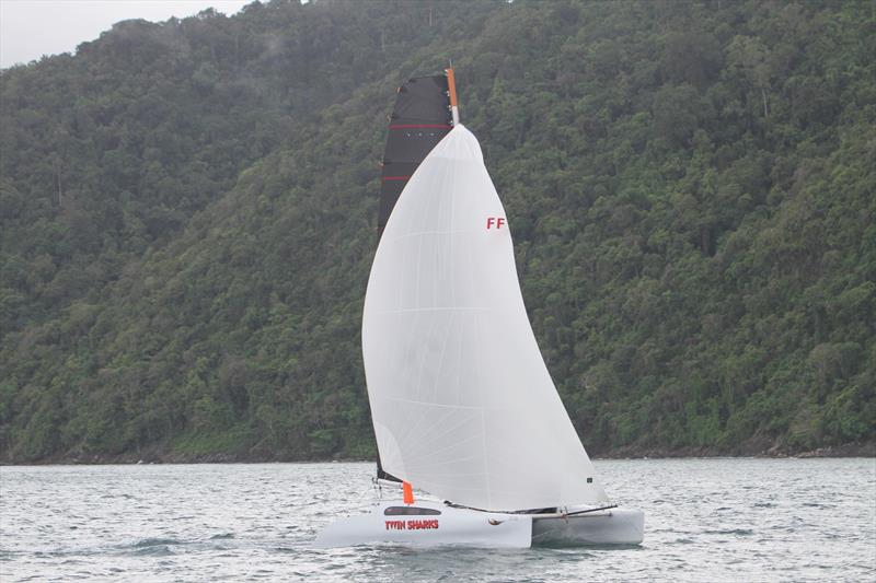 Twin Sharks The Yacht Sales Co Regatta 2024 Day 2 at Phuket, Thailand photo copyright Scott Murray taken at Phuket Yacht Club and featuring the Catamaran class