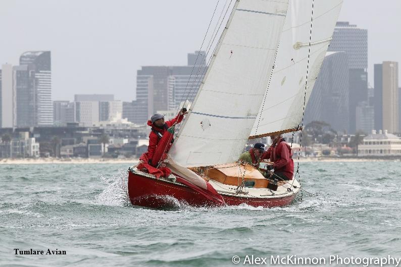 Tumlare Avian - The Cup Regatta - photo © Alex McKinnon Photography