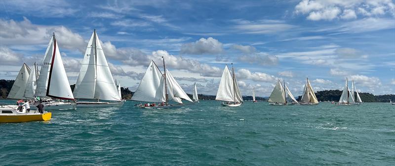 Start - Mahurangi Cruising Club Regatta - January 25, 2025 photo copyright MCC taken at  and featuring the Classic Yachts class