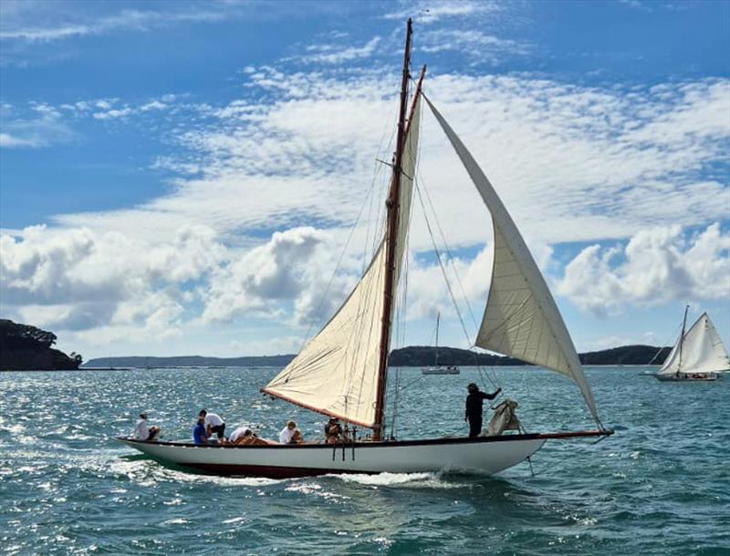 Mahurangi Cruising Club Regatta - January 25, 2025 photo copyright MCC taken at  and featuring the Classic Yachts class