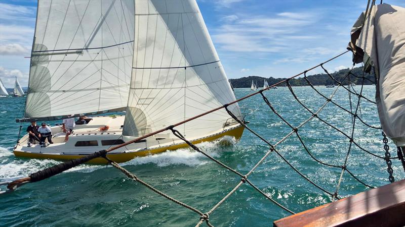 Mahurangi Cruising Club Regatta - January 25, 2025 photo copyright MCC taken at  and featuring the Classic Yachts class