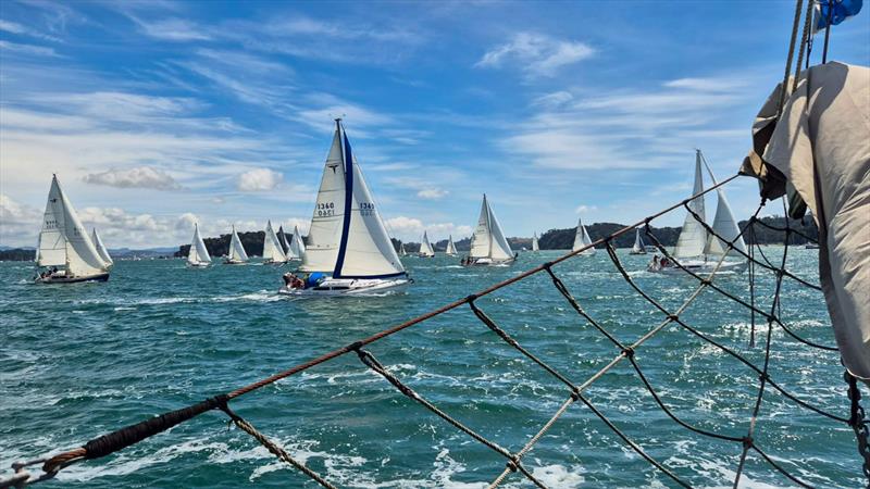 Mahurangi Cruising Club Regatta - January 25, 2025 photo copyright MCC taken at  and featuring the Classic Yachts class