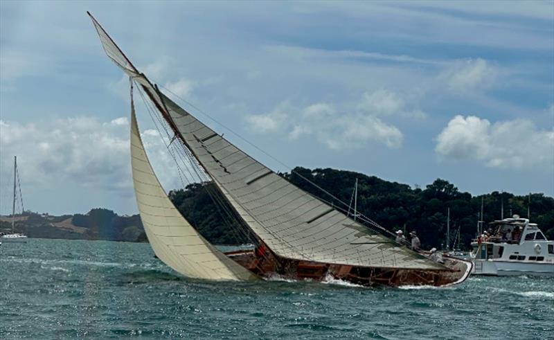 Rawhiti with her big jib - Mahurangi Cruising Club Regatta - January 25, 2025 photo copyright MCC taken at  and featuring the Classic Yachts class