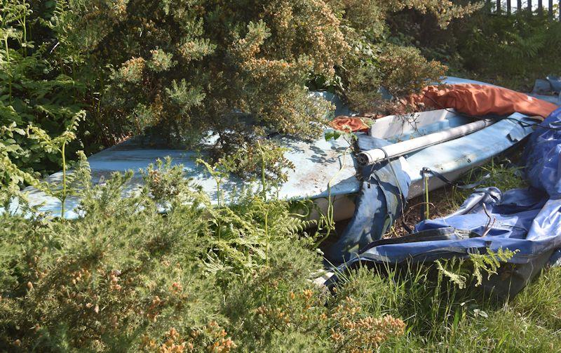 The brambles and gorse may have all but claimed this boat as part of the scenery, but it will soon be cleared away  photo copyright David Henshall taken at  and featuring the Contender class