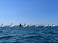 Herreshoff H-12½ Class racing action © the Edgartown Yacht Club