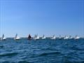 Herreshoff H-12½ Class racing action © the Edgartown Yacht Club