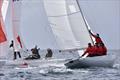 Kinsale Dragon Gold Cup 2024 Day 5 © David Cullinan