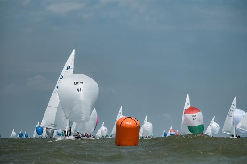 Day 2 - 2019 Yanmar Dragon Gold Cup - photo © Eric van den Bandt