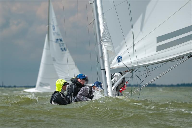 Day 5 - 2019 Yanmar Dragon Gold Cup - photo © Eric van den Bandt