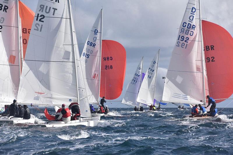 Race 3 of the Kinsale Dragon Gold Cup 2024 supported by Astra Construction Services Ltd - photo © David Cullinan