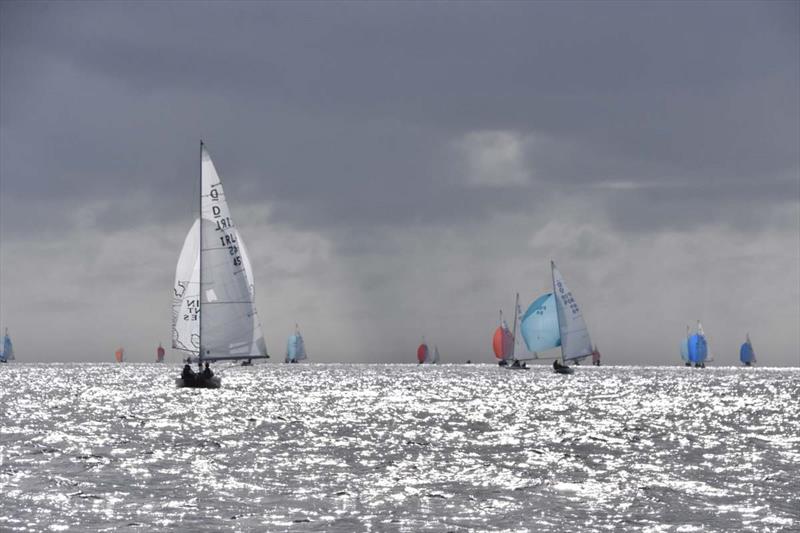 Kinsale Dragon Gold Cup 2024 Day 5 - photo © David Cullinan