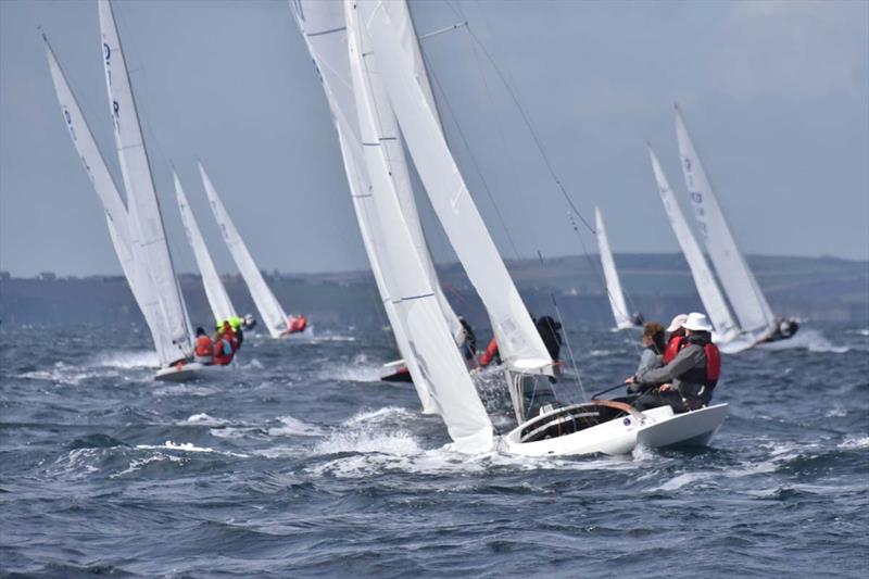 Kinsale Dragon Gold Cup 2024 Day 5 photo copyright David Cullinan taken at Kinsale Yacht Club and featuring the Dragon class