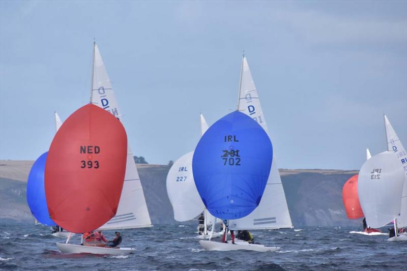 Kinsale Dragon Gold Cup 2024 Day 5 - photo © David Cullinan