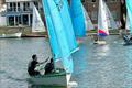 Enterprise class winners Ed Mayley and crew James Budden in the pre-start on Sunday at Minima's annual regatta (centre is Erica Bishop's Topper, winner of the Portsmouth Yardstick class) - Minima Regatta 2024 © Eileen Barry