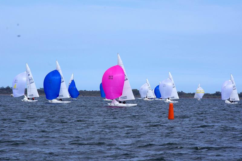 Flying High 2 AUS1518 leads the fleet to the leeward gates in race 7 of the Etchells 2025 Australian championship regatta - photo © Jeanette Severs