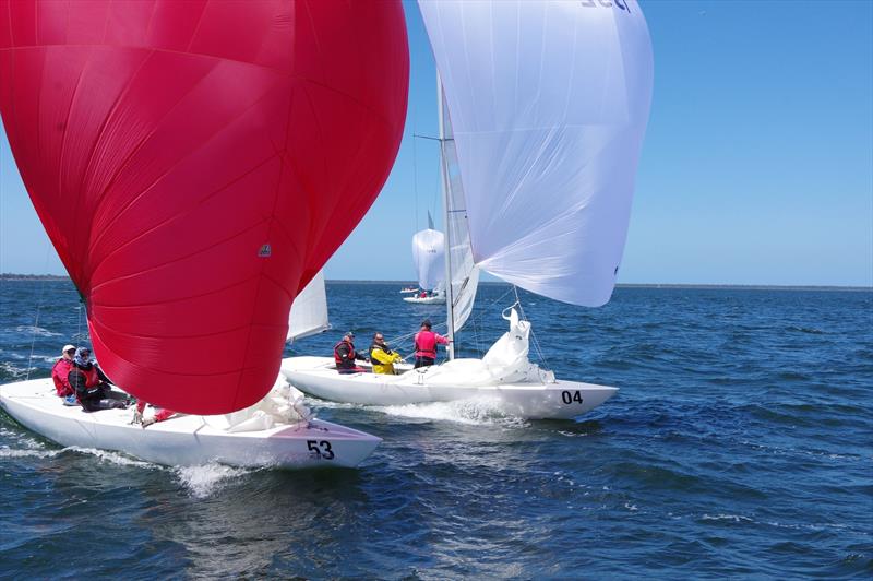 Men's Shirts Short Skirts AUS1141, from Royal Brighton Yacht Club, contesting the spinnaker run to the finish line with Come Monday AUS1332, a Metung fleet boat, in the Etchells 2025 Australian championship regatta - photo © Jeanette Severs