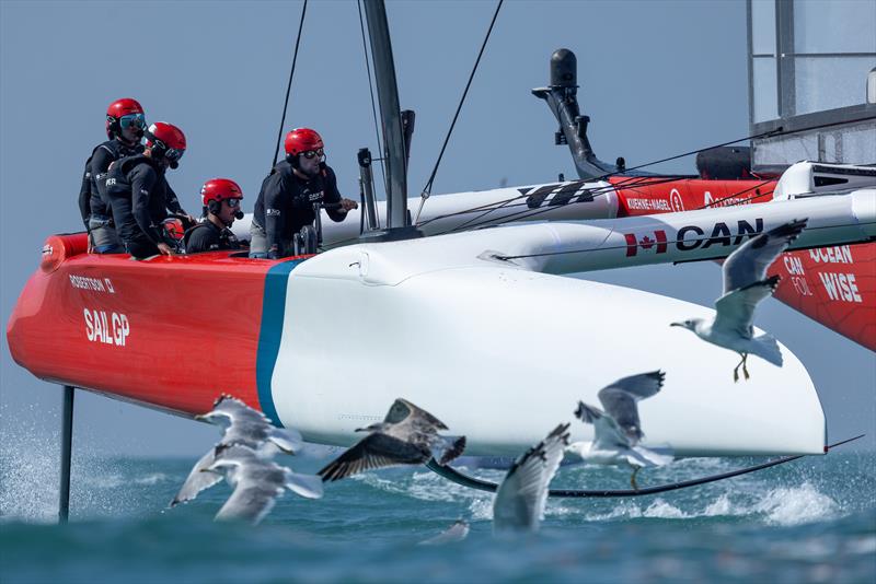 Canada SailGP Team is now the NorthStar SailGP Team - November 6, 2024 photo copyright Felix Diemer/SailGP taken at Royal Nova Scotia Yacht Squadron and featuring the F50 class