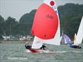 River Exe Regatta 2023 © Heather Davies