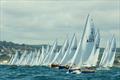 Start line action - Firefly Nationals at Lyme Regis © NFA