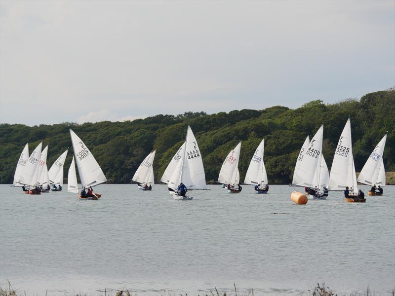 Dell Quay Open photo copyright John Rogerson taken at Dell Quay Sailing Club and featuring the Firefly class