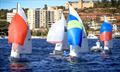 Flying 11s at Manly 16ft Skiff Sailing Club © SailMedia