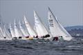 Wednesday racing during the Nordic Folkboat Gold Cup 2024 at Halmstads Segelsällskap © Daniel Stenholm