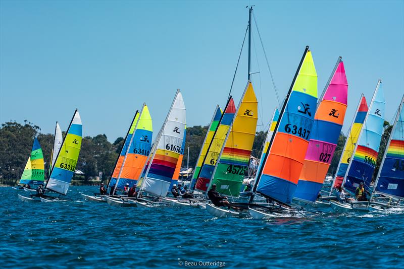 NSW Hobie State Championships on Lake Macquarie - photo © Beau Outteridge