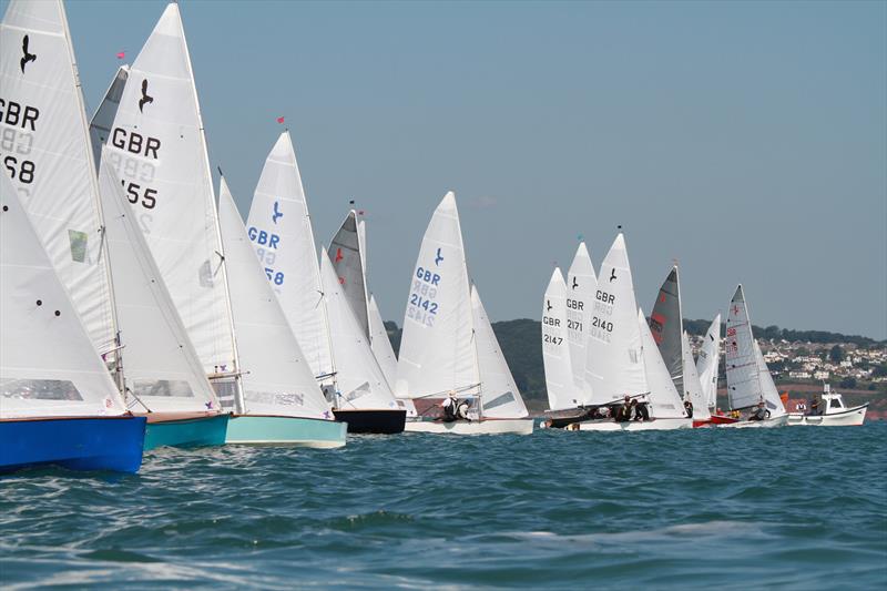 Hornet National Championship at Brixham 2015 - photo © Gareth Fudge / www.boatographic.co.uk