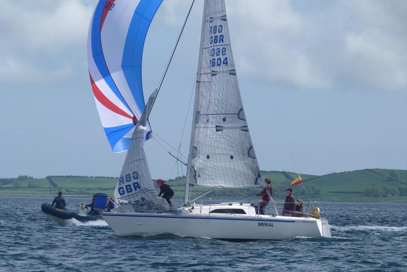 Mipaal, second - Impala European Championship at Strangford Lough - photo © EDYC