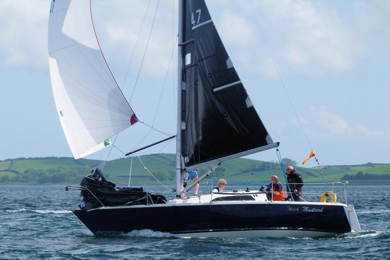 Wild Mustard, third - Impala European Championship at Strangford Lough photo copyright EDYC taken at East Down Yacht Club and featuring the Impala 28 class