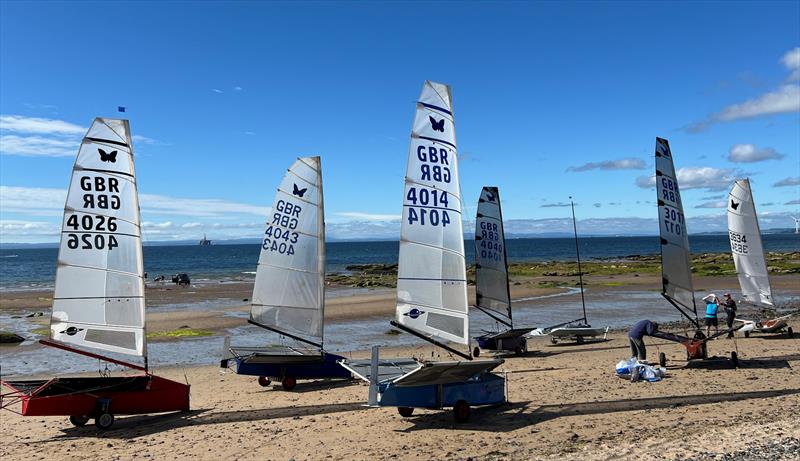 Moths warming their wings on Sunday morning during the International Moth Lowriders Scottish Nationals at Largo Bay - photo © John Edwards