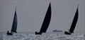 Manly Combined Clubs Race 8 © Mitchell Pearson / SurfSailKite