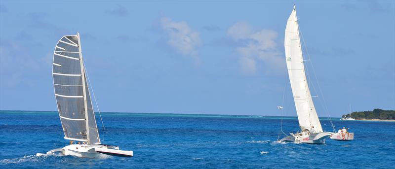 Racing action at the St. Croix International Regatta photo copyright St. Croix International Regatta / Trish Rhodes taken at St. Croix Yacht Club and featuring the IRC class