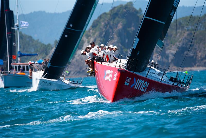 Bay of Islands Sailing Week, 2019 - photo © Lissa Reyden