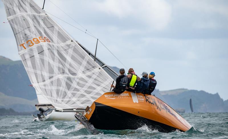 Bay of Islands Sailing Week - January 2023 - photo © Lissa Reyden