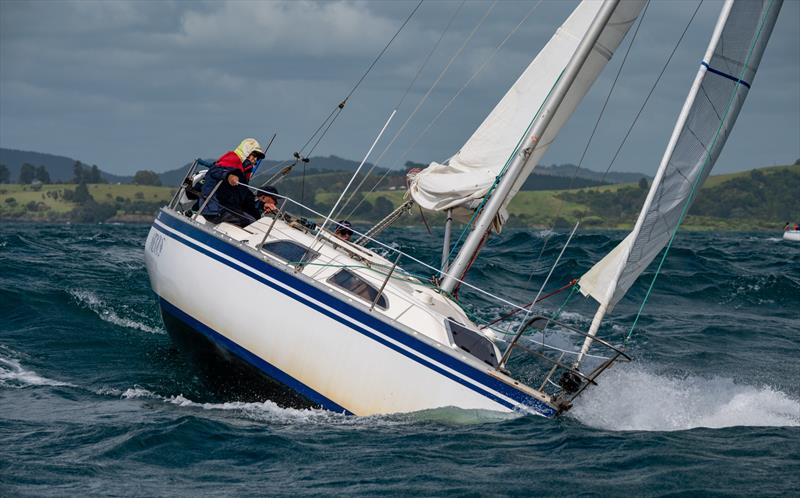 Bay of Islands Sailing Week - January 2023 - photo © Lissa Reyden