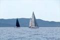 2024 Natural Parks Regatta © Yacht Club Isole di Toscana