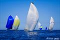 The Yacht Sales Co Sail Paradise Regatta 2024 © Salty Dingo