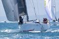 Maverick sailing double handed - Melbourne to Hobart Yacht Race © Steb Fisher