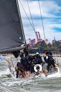 Veloce will be looking to back again a Line Honours win at least © Michael Currie